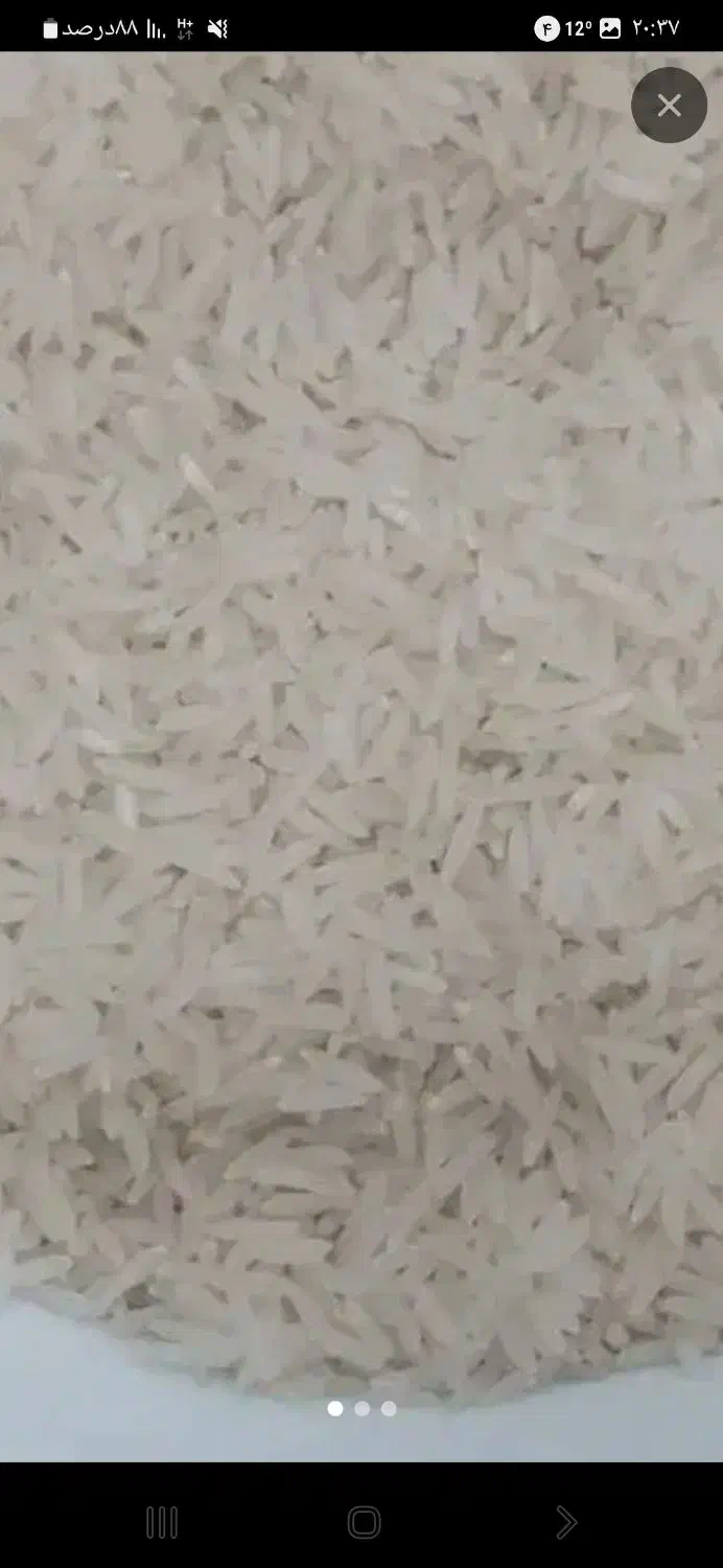 برنج فجرسوزنی|عمده‌فروشی|فاضل آباد, |دیوار