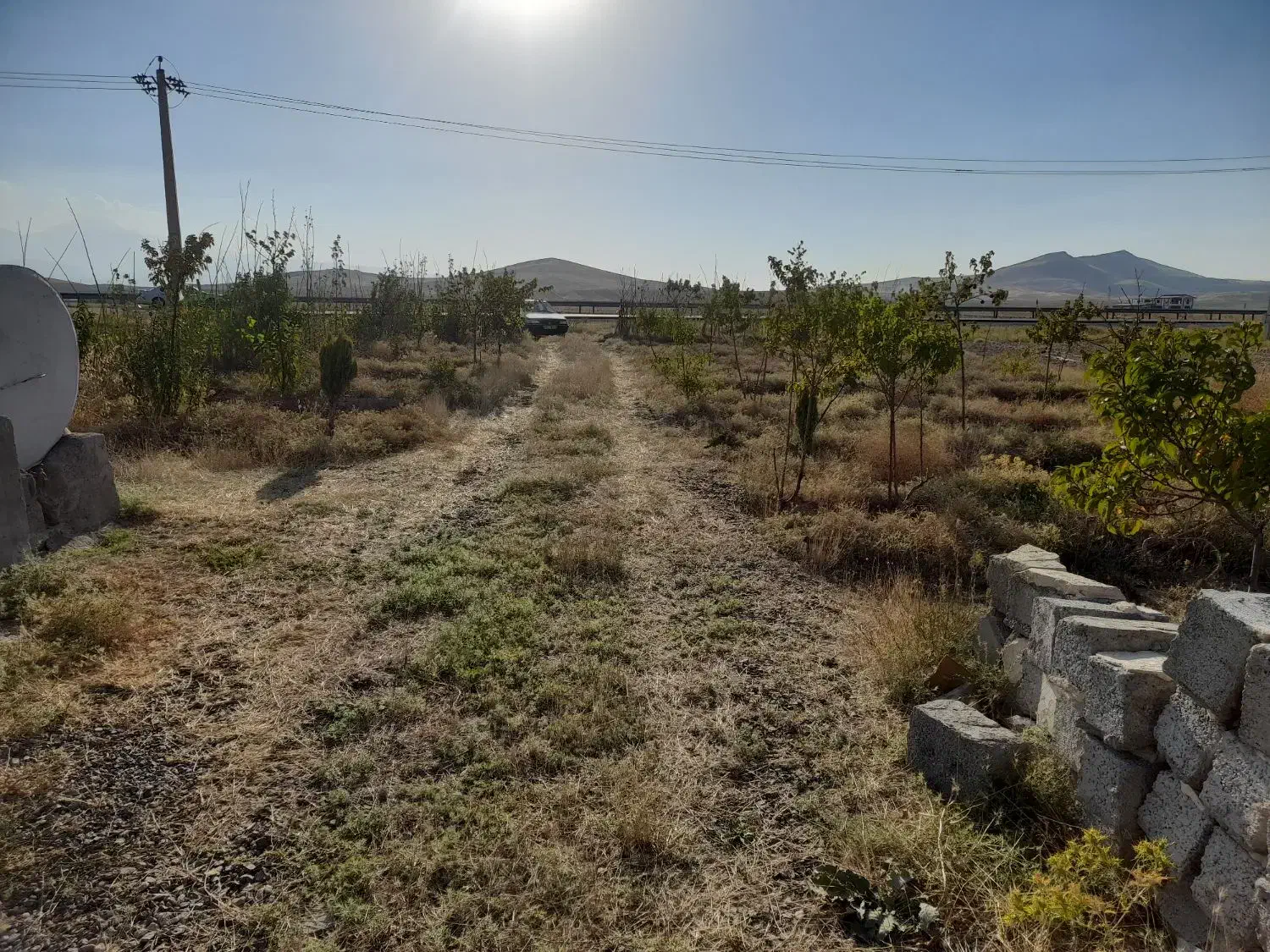 فروش زمین به متراژ ۴۰۰۰ متر مربع|فروش زمین و ملک کلنگی|ارشق, |دیوار