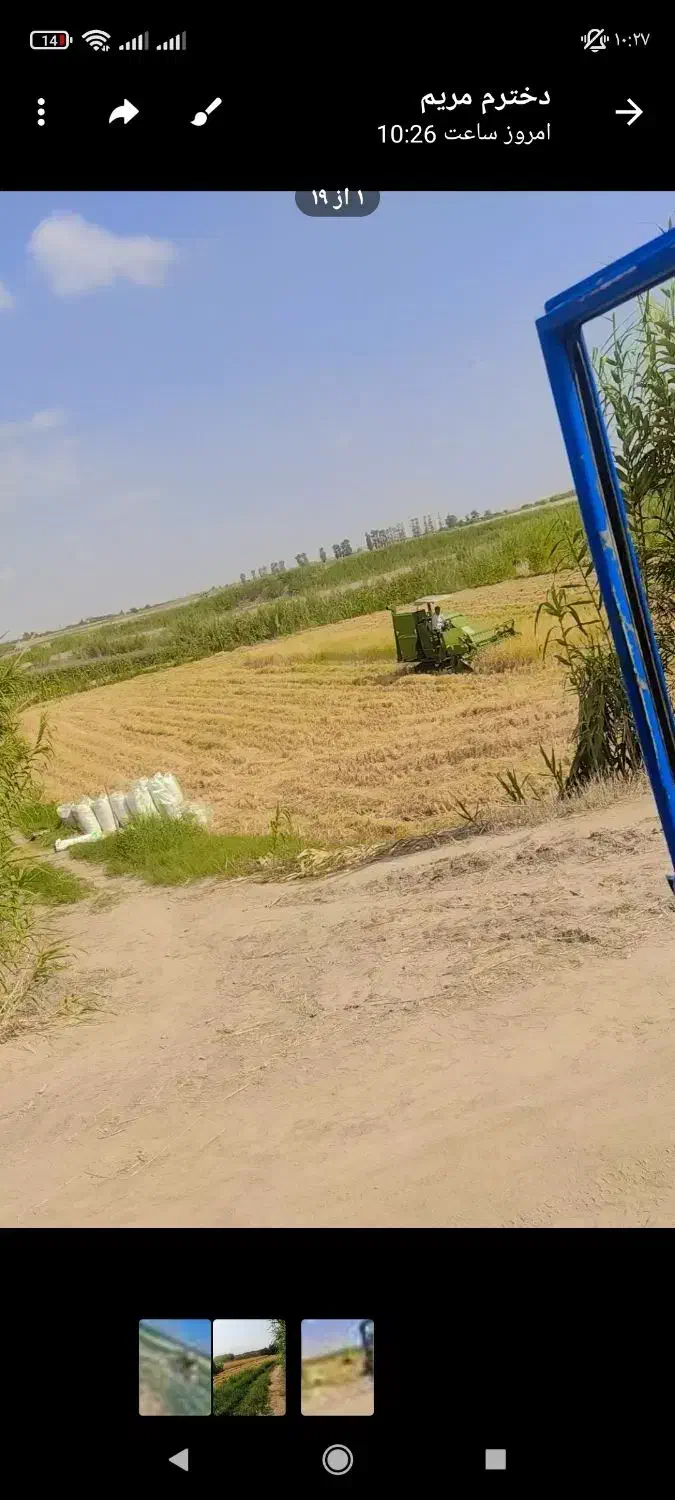 اجاره زمین کشاورزی|اجارهٔ دفتر صنعتی، کشاورزی، تجاری|گنبد کاووس, |دیوار