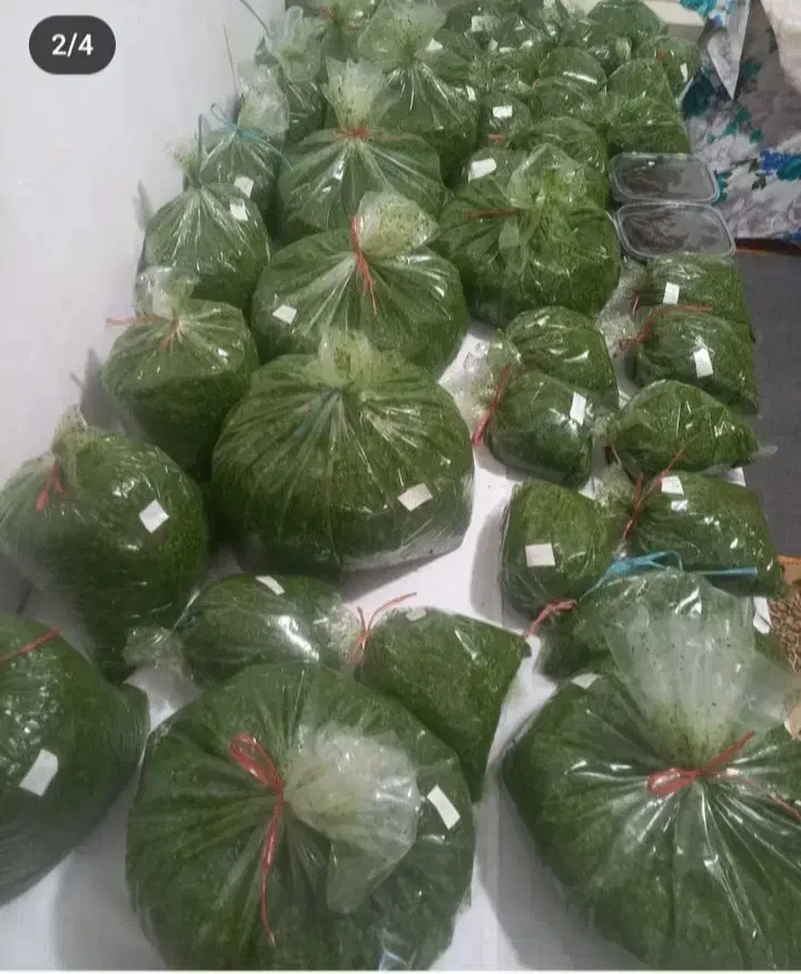 سبزی خرده شده|خوردنی و آشامیدنی|رشت, انصاری|دیوار