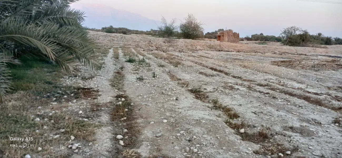 2080متر زمین در شهر قلعه قاضی|فروش زمین و ملک کلنگی|قلعه قاضی, |دیوار