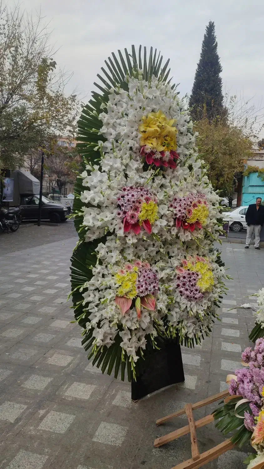 تاج گل|گل و گیاه طبیعی|کرج, کوی کارمندان شمالی|دیوار