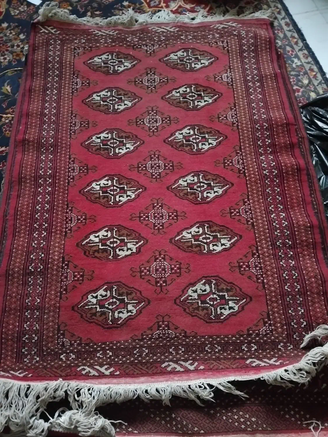 قالی ترکمن|فرش|شیراز, رکنآباد|دیوار