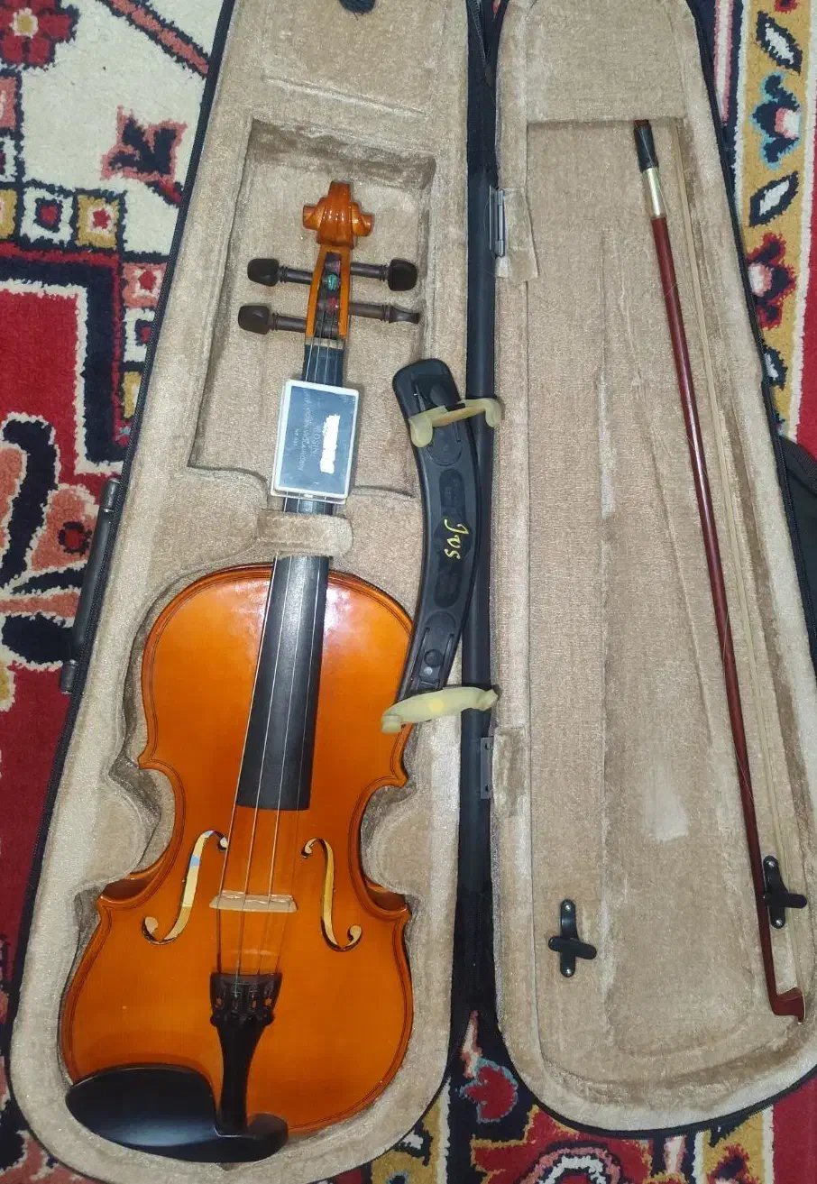 ویولون|ویولن|تبریز, |دیوار