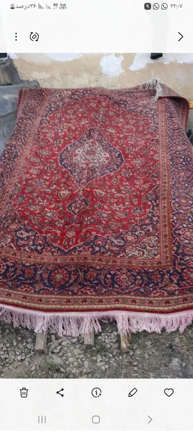 فرش دست بافت قدیمی|فرش|سیاهکل, |دیوار