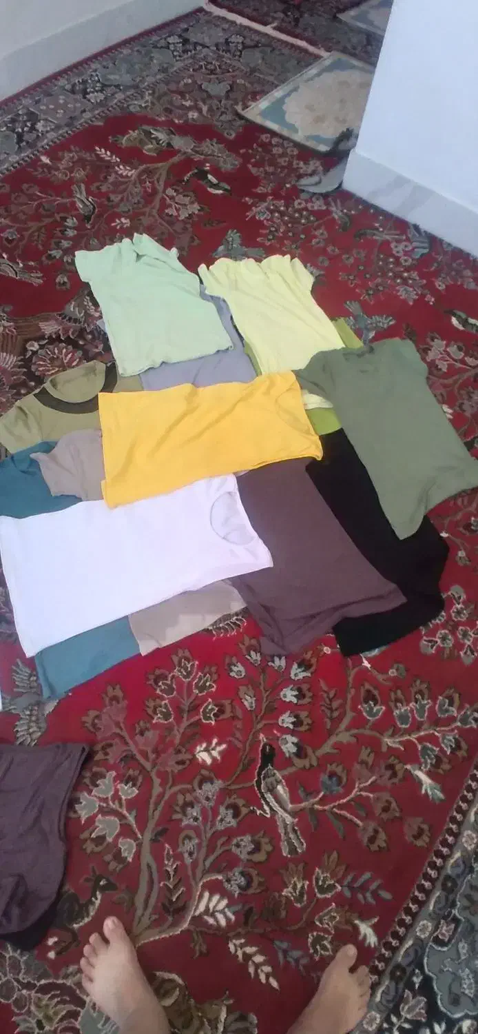 تیشرت زنانه تاپ زنانه بدلیجات ست|لباس|اسفراین, |دیوار