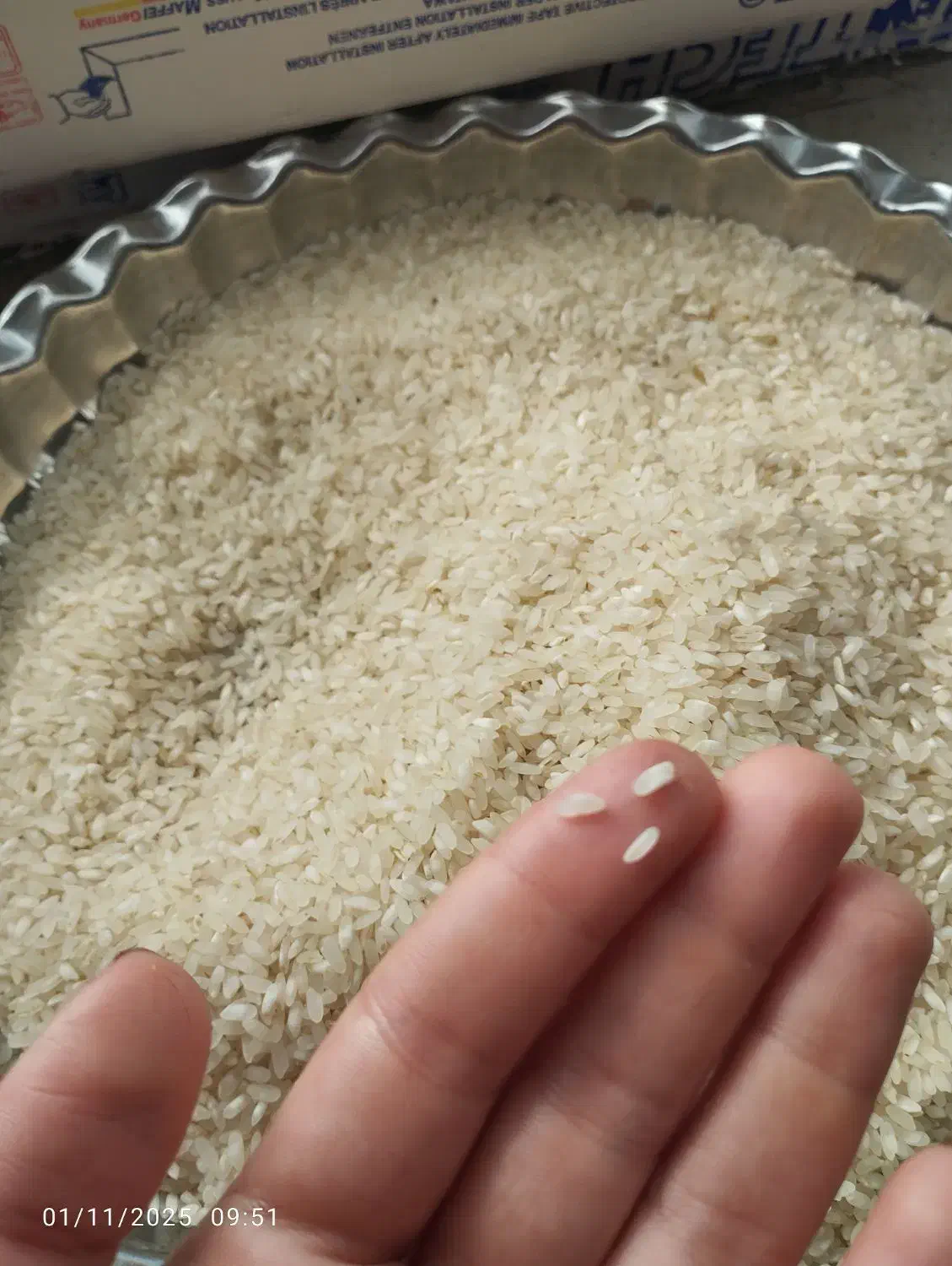 برنج و برنج نیم دانه اصل کامفیروزی|خوردنی و آشامیدنی|کر, |دیوار