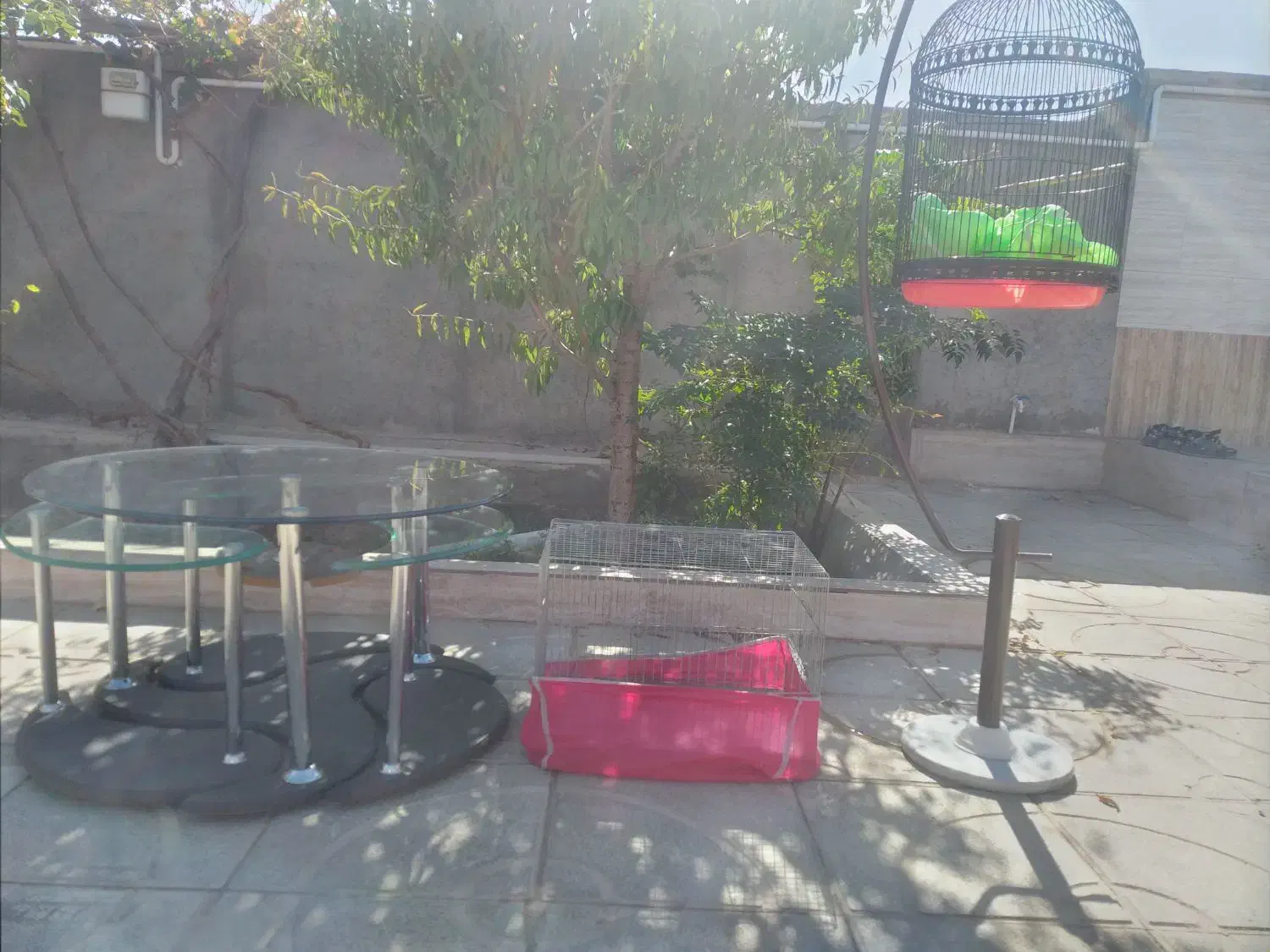 میز عسلی با قفس|مبلمان خانگی و میز عسلی|زرند, |دیوار