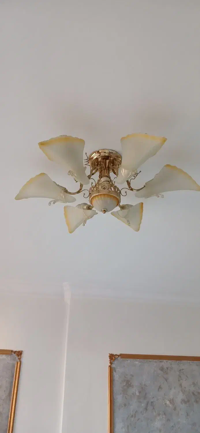 ۲ عدد لوستر ۶ شاخه با لامپ|لوستر و چراغ آویز|مشهد, جانباز|دیوار