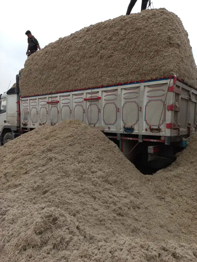 کاه نیشکر یا باگاس|لوازم جانبی حیوانات|سلفچگان, |دیوار