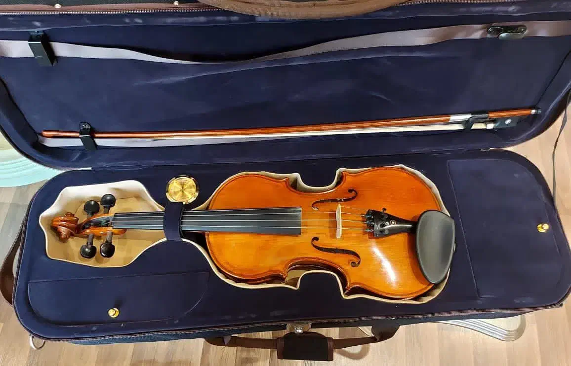 ویولون دست ساز استاد سیاوش اکبری|ویولن|کرج, گوهردشت|دیوار