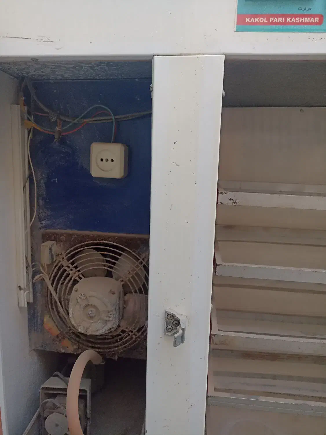 ۱۳تومن|لوازم جانبی حیوانات|زابل, |دیوار