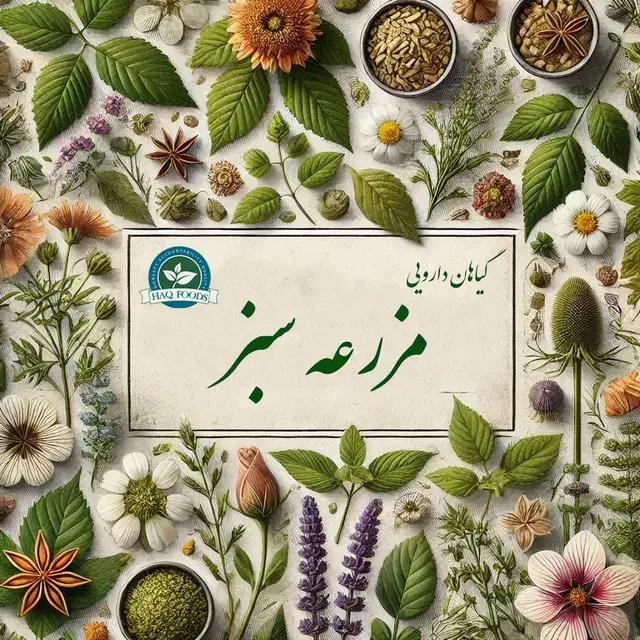فروش عمده گیاهان دارویی، ادویه جات و عرقیجات|خوردنی و آشامیدنی|اصفهان, رزمندگان|دیوار