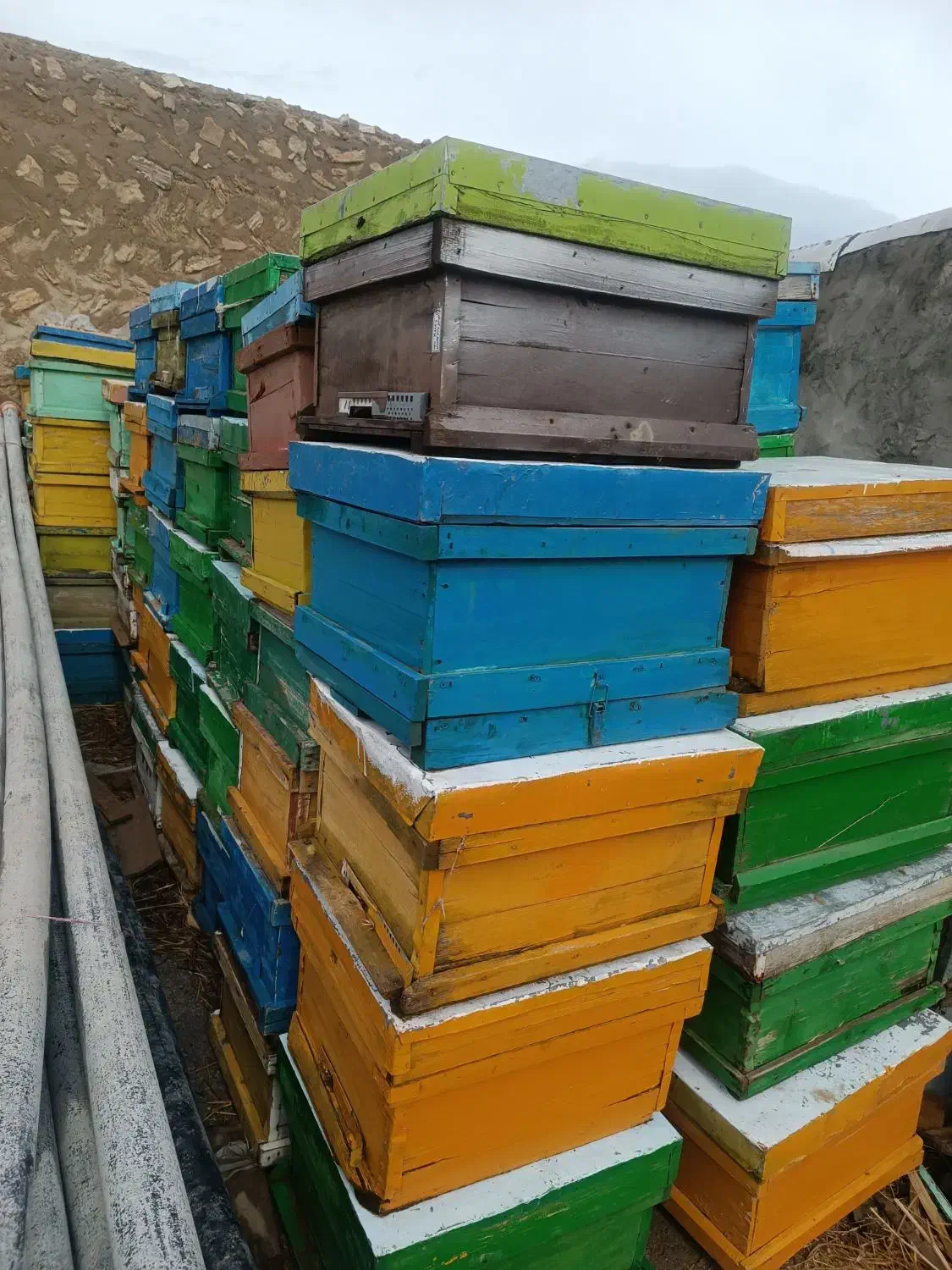 فروش کندو و طبق|حیوانات مزرعه|محمدبار, |دیوار