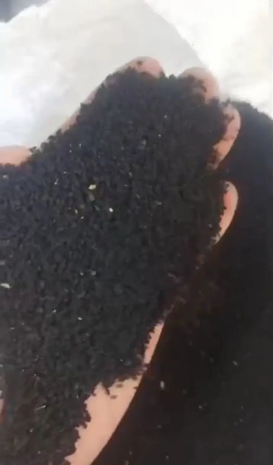 سیاهدانه اصلاحه شده|خوردنی و آشامیدنی|خانمیرزا, |دیوار