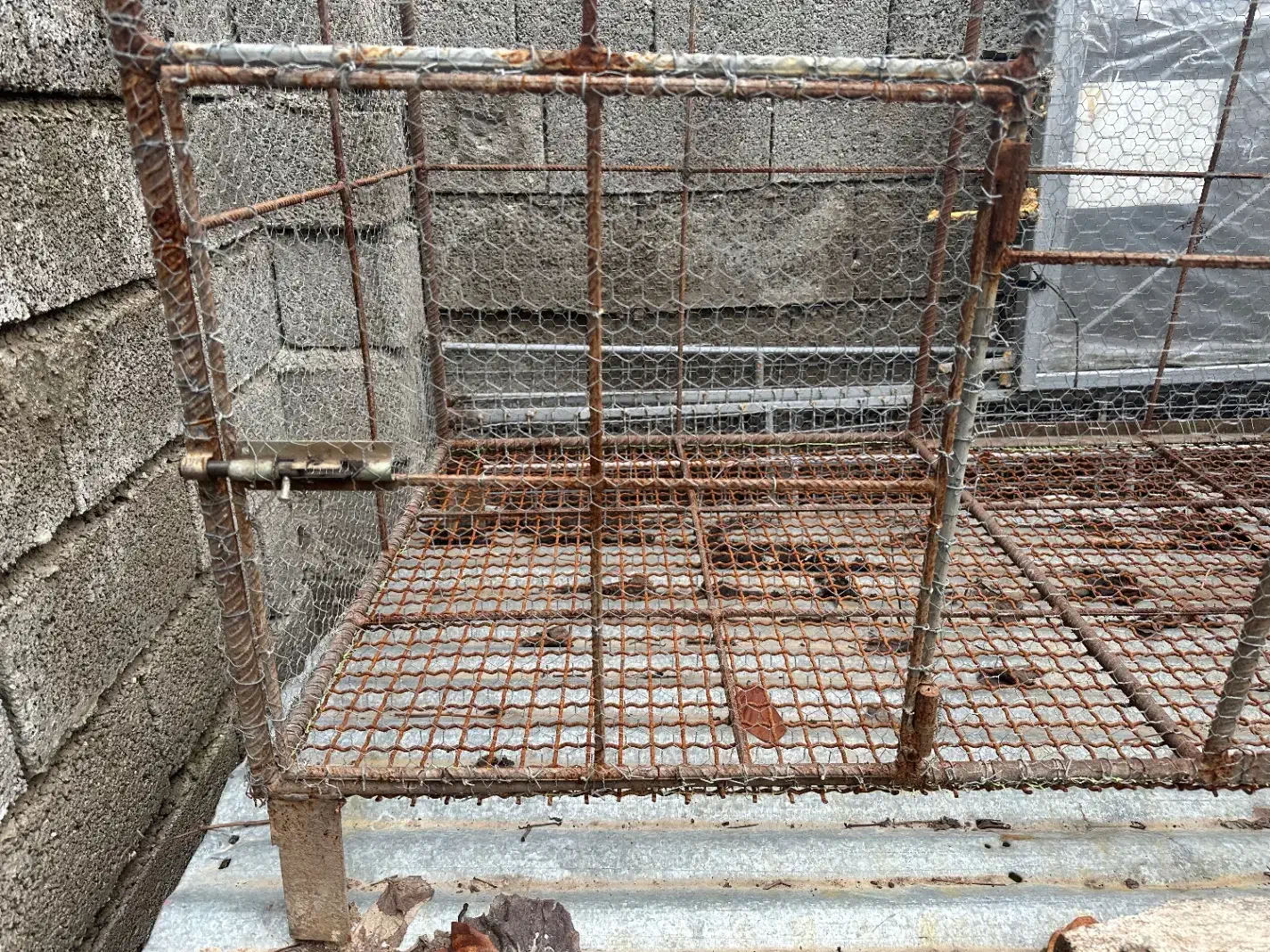 قفس جوجه|لوازم جانبی حیوانات|ساری, |دیوار