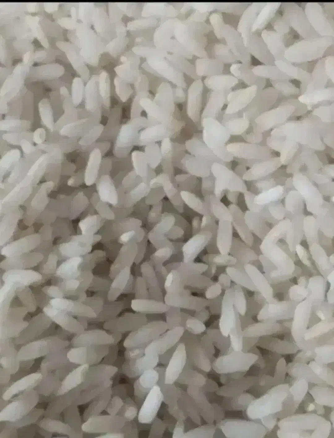 برنج چمپا|خوردنی و آشامیدنی|فلارد, |دیوار