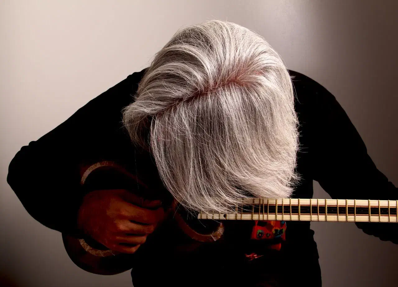 آموزش تار و سه تار|خدمات آموزشی|تهران, دبستان|دیوار