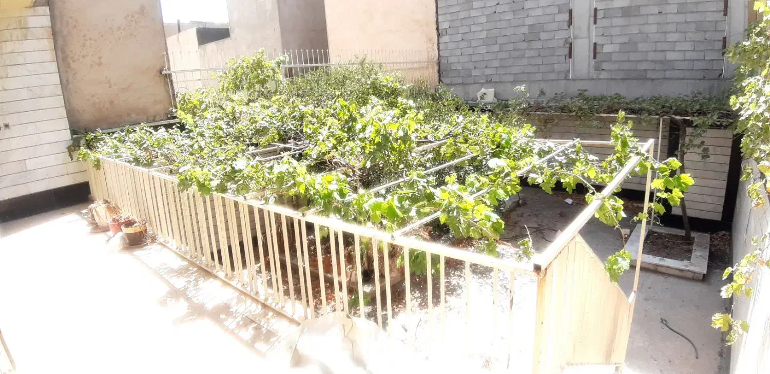 ویلایی دربستی دهکده المپیک،۱۵۰متر بنا،۲۰۰متر زمین|اجارهٔ خانه و ویلا|تهران, زیبادشت|دیوار