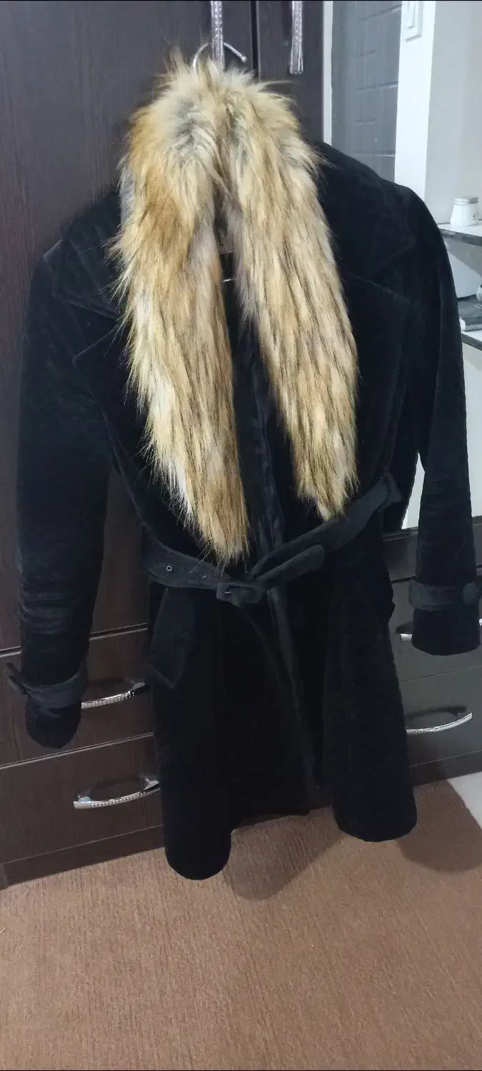 پالتو|لباس|ساری, |دیوار