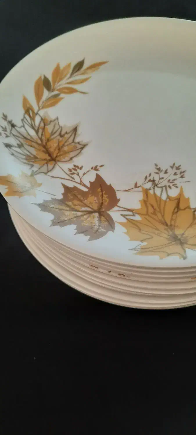 پلو خوری ملامین|ظروف سرو و پذیرایی|تهران, خزانه|دیوار