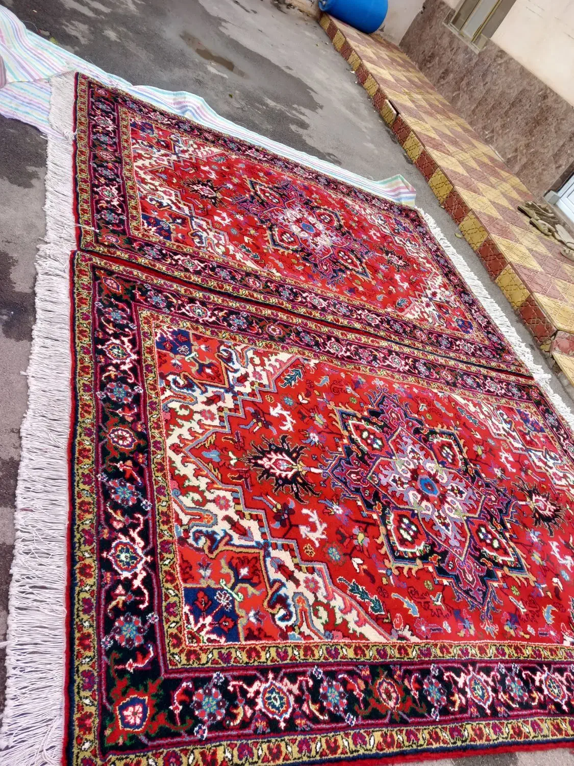 جفت فرش ۶متری دستبافت نقشه هریس تاجری|فرش|تبریز, |دیوار