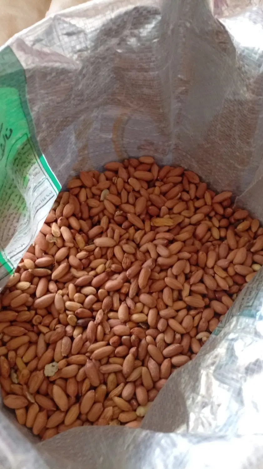 بادام|خوردنی و آشامیدنی|پارس‌آباد, |دیوار
