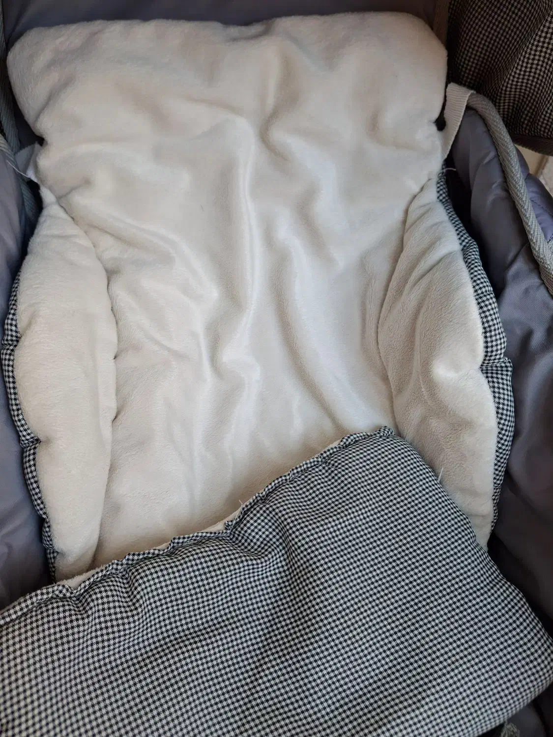 کالسکه دلیجان|کالسکه و لوازم جانبی|اهر, |دیوار