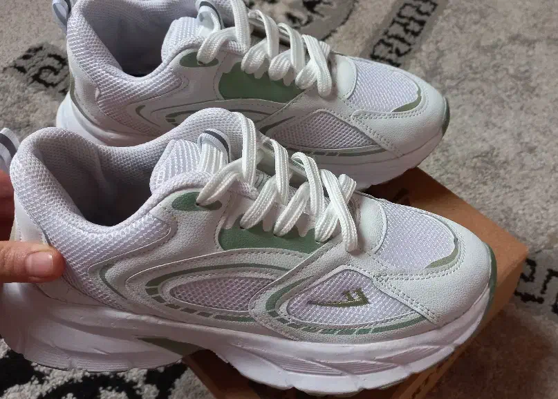 کتونی|کیف، کفش، کمربند|قوچان, |دیوار