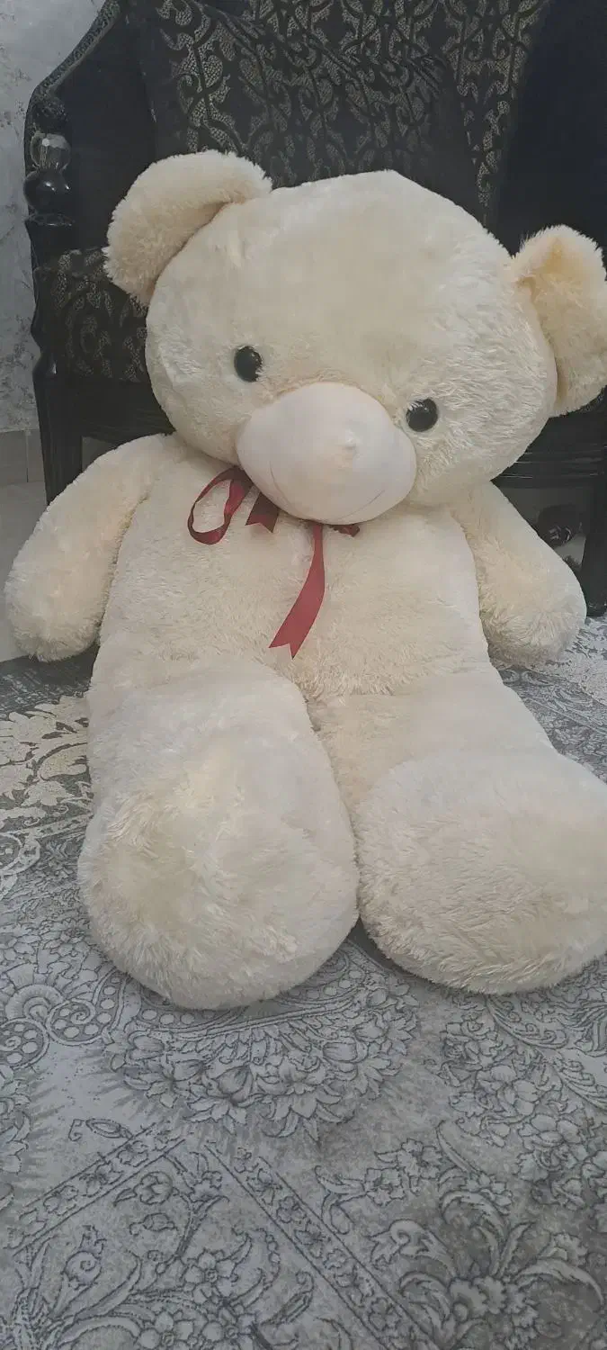 خرس عروسکی|اسباب‌‌بازی|اردبیل, |دیوار