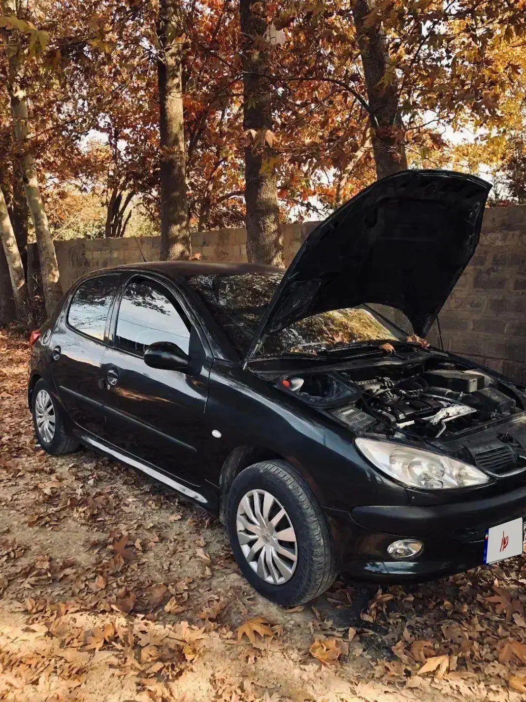 206 تیپ دو کارمندی کم مصرف|خودرو سواری و وانت|صدرا-فارس, فاز ۲|دیوار