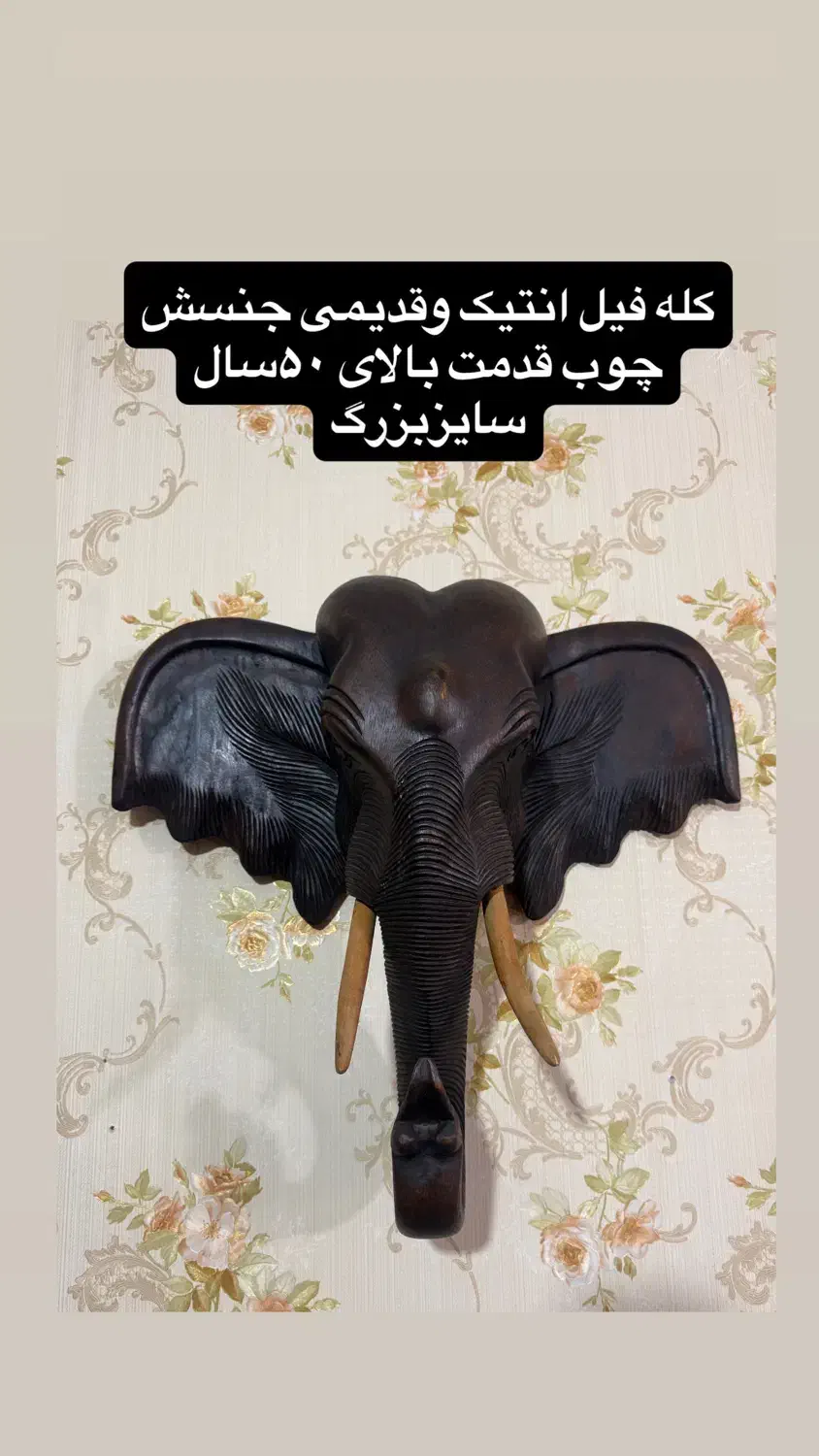 کله فیل چوبی انتیک وقدیمی|صنایع دستی و سایر لوازم تزئینی|تهران, فرودگاه مهرآباد|دیوار