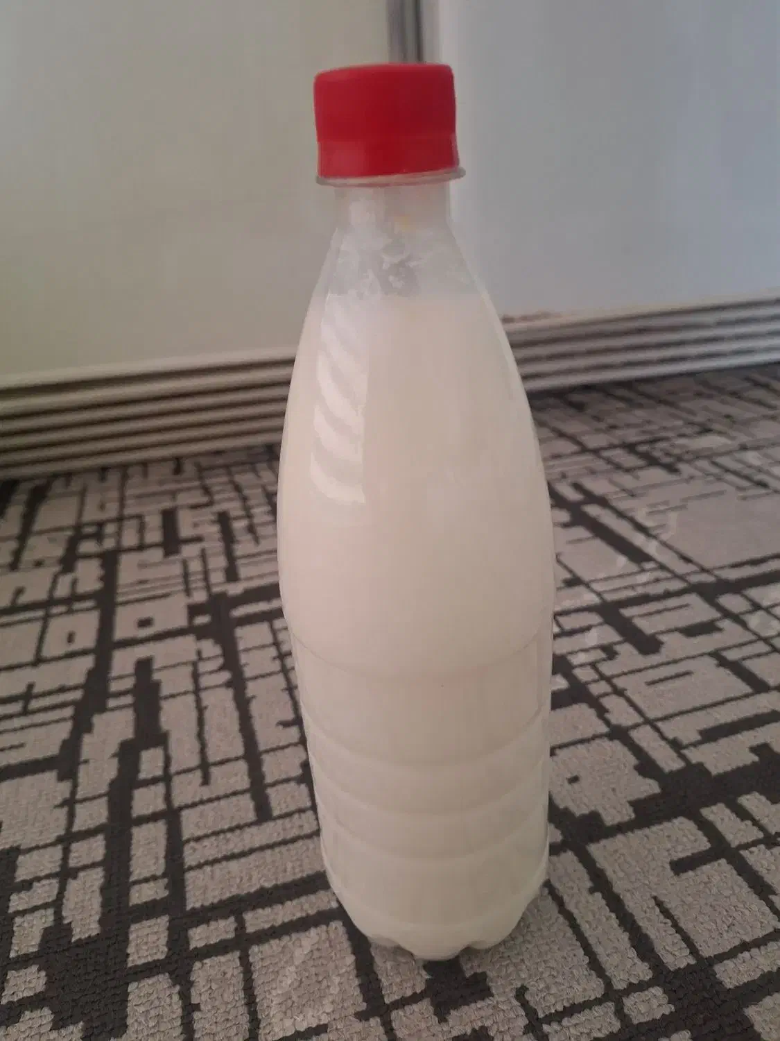 شیر وماست ودوغ وماست چکیده|خوردنی و آشامیدنی|کیاشهر, |دیوار