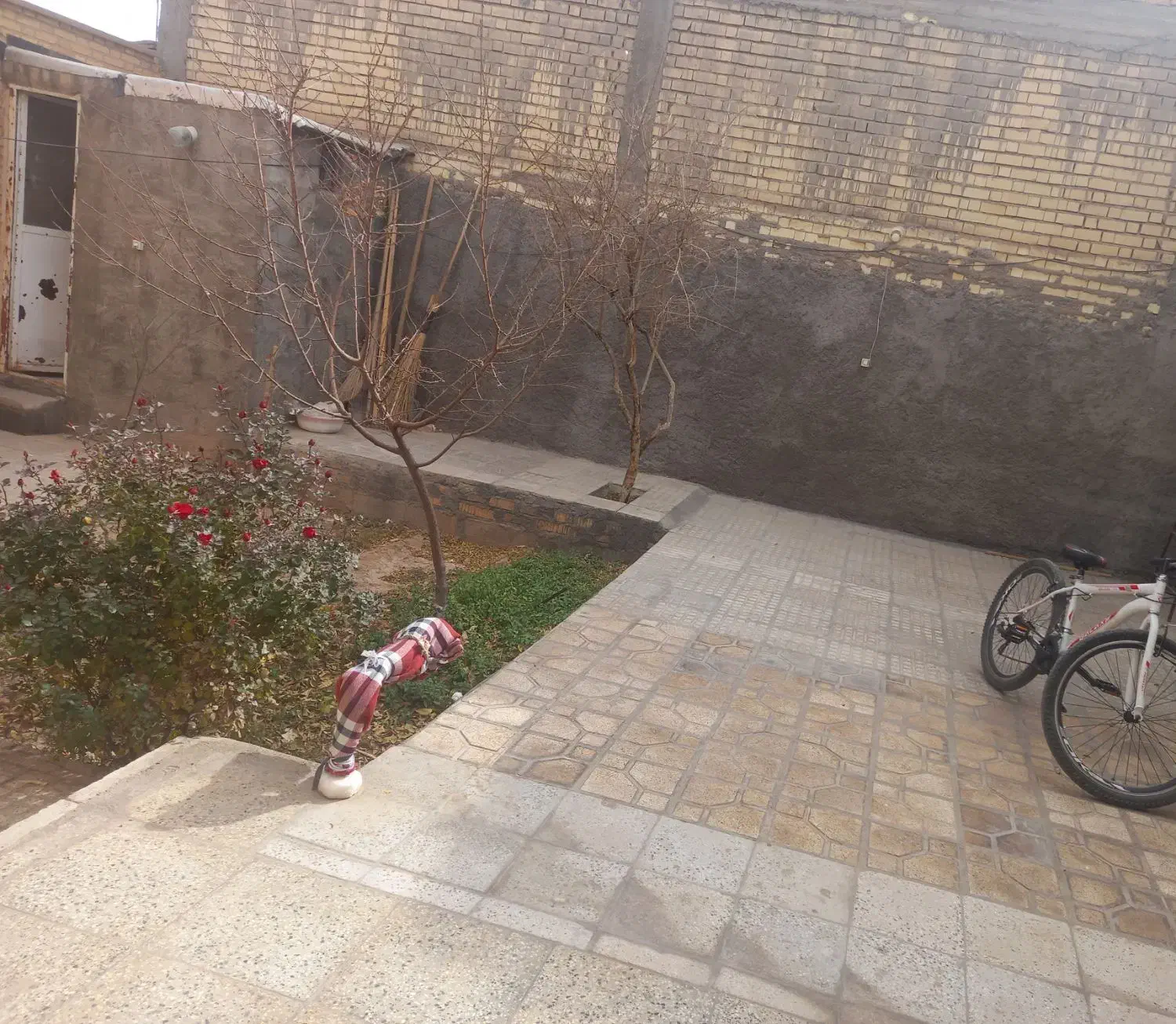 خانه فروشی در صغاد|فروش خانه و ویلا|بهمن صغاد, |دیوار