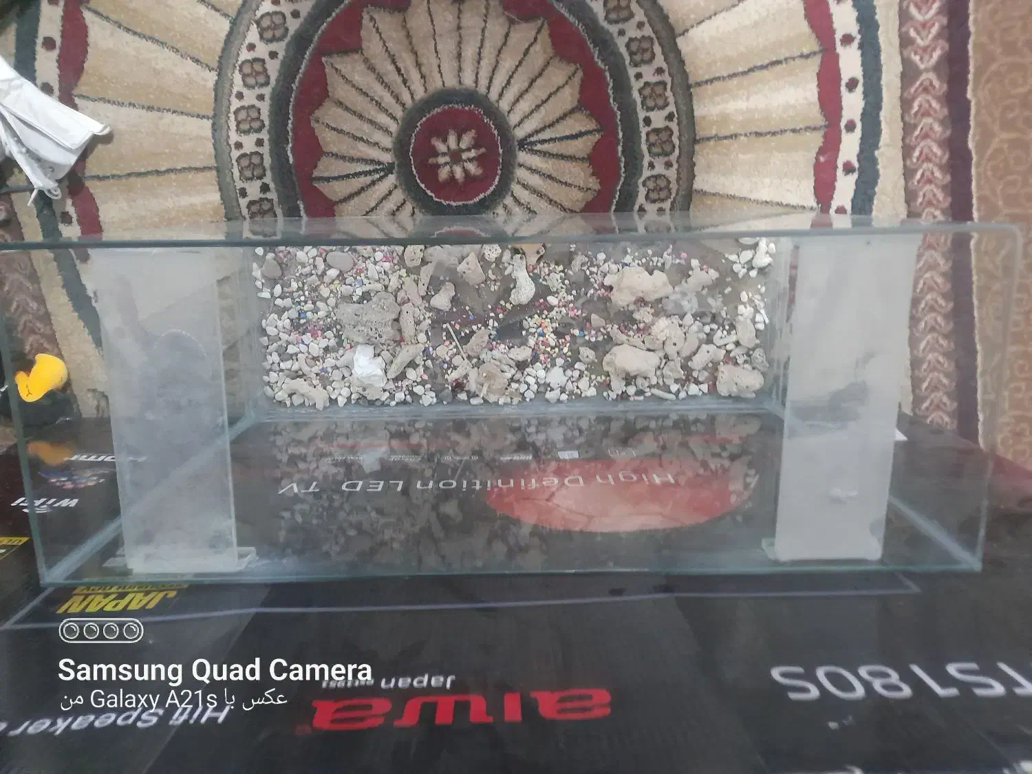 آکواریوم|ماهی|شیراز, شهرک فرهنگیان|دیوار