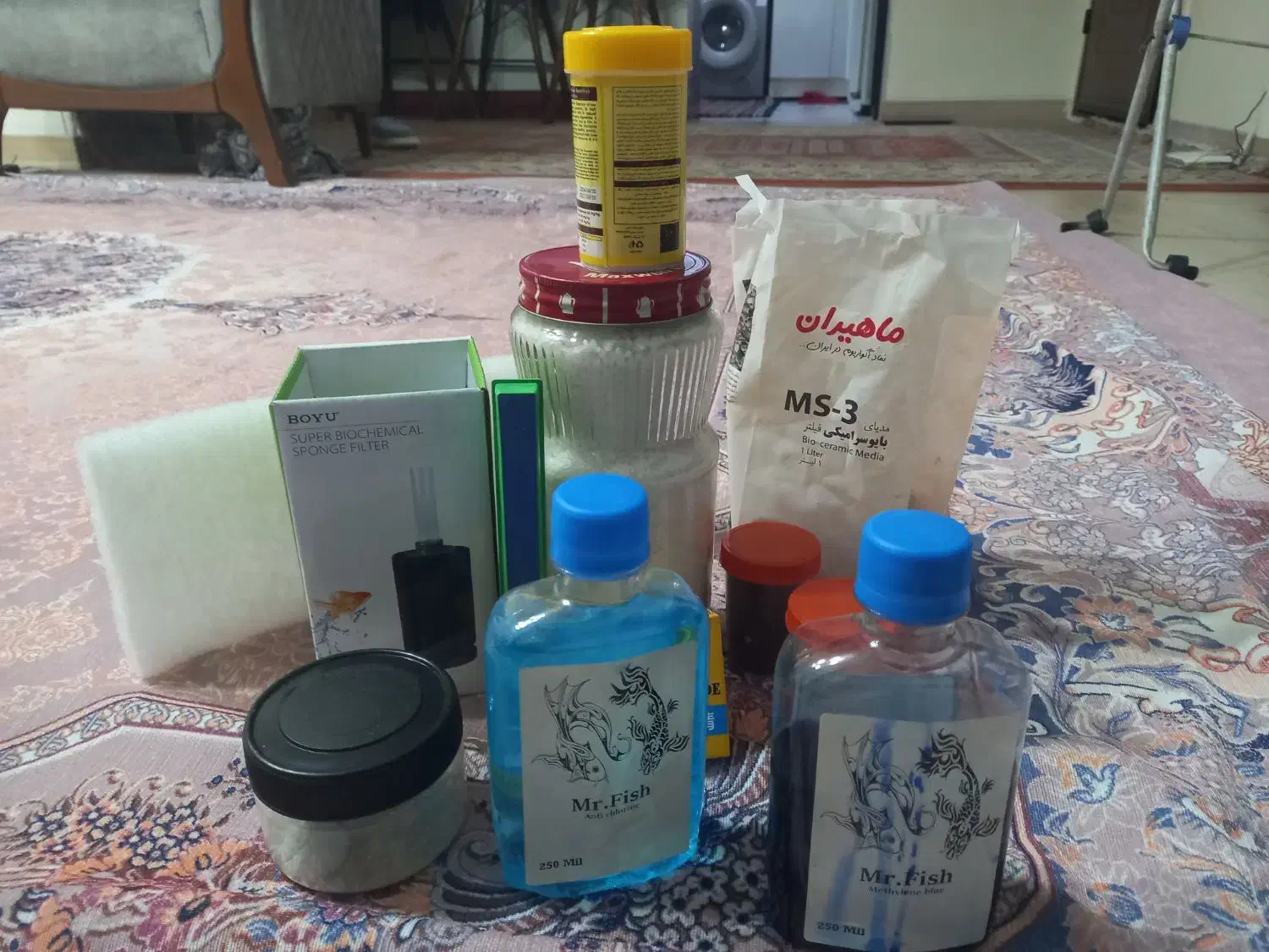 آکواریوم شیشه خم با ماهی و وسایل|ماهی|تهران, لویزان|دیوار