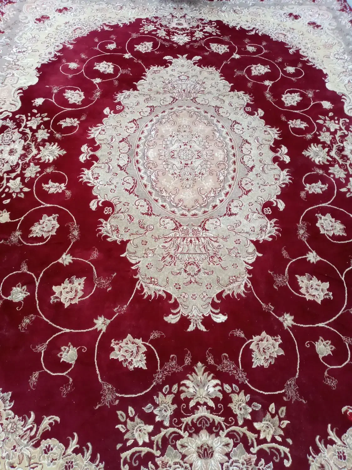 فرش فروشی|فرش|سنقر, |دیوار