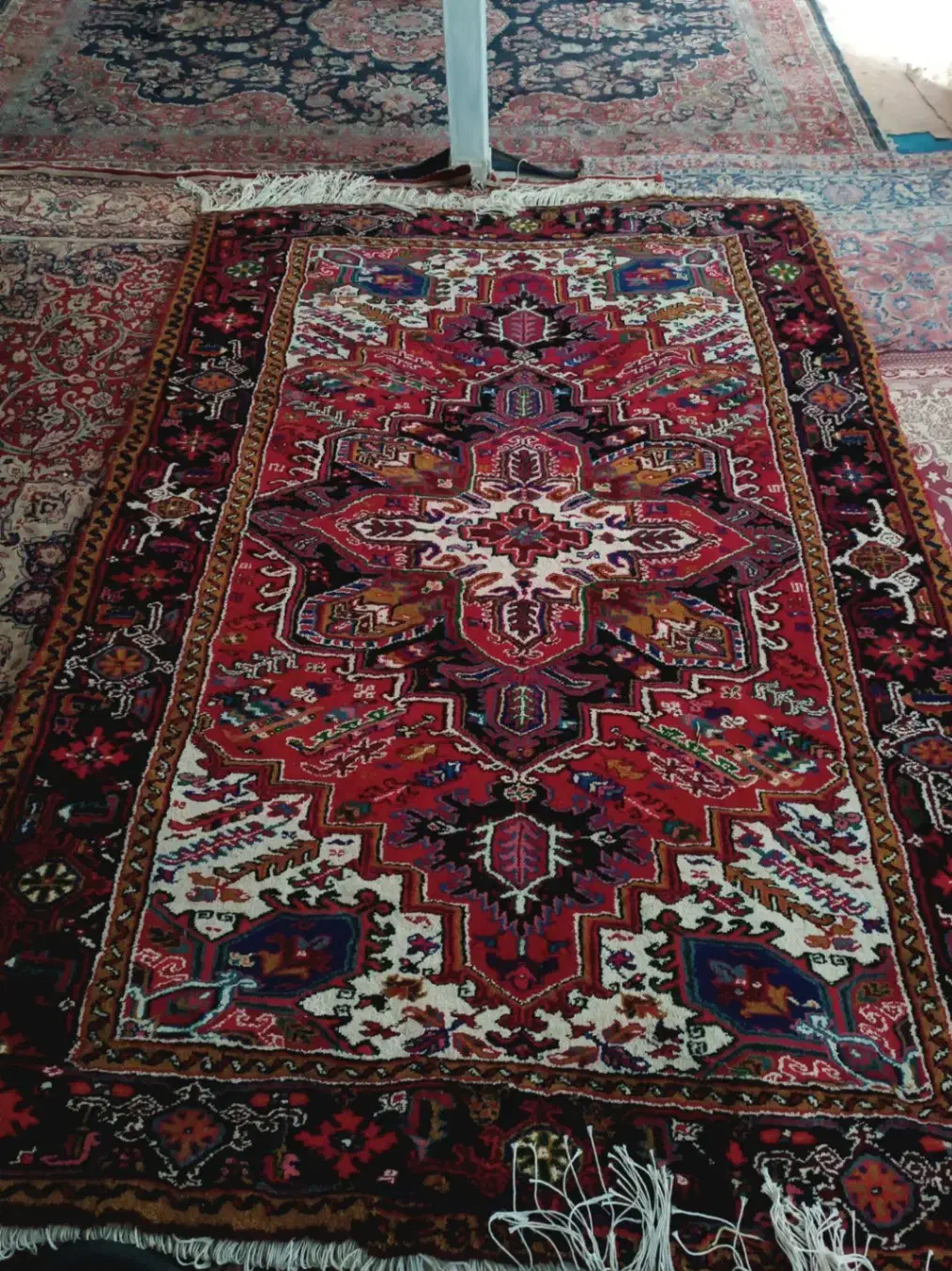 فرس دست بافت|فرش|بستان آباد, |دیوار