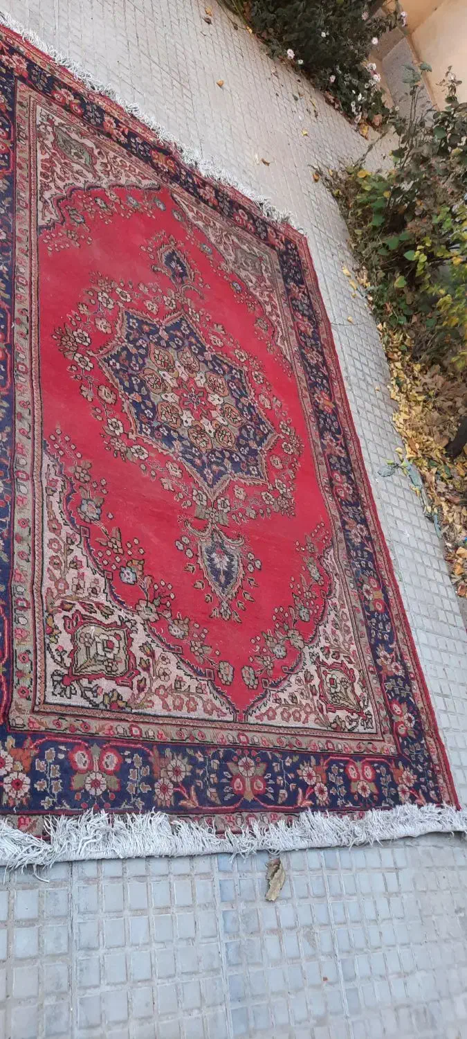 فرش دودرسه دوعدد|فرش|اردبیل, |دیوار