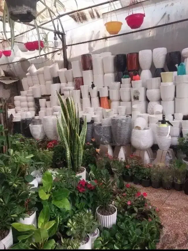 خدمات باغبانی باغچه کاری تعویضی خاک باغچه کاشت|خدمات باغبانی و درختکاری|تهران, هروی|دیوار