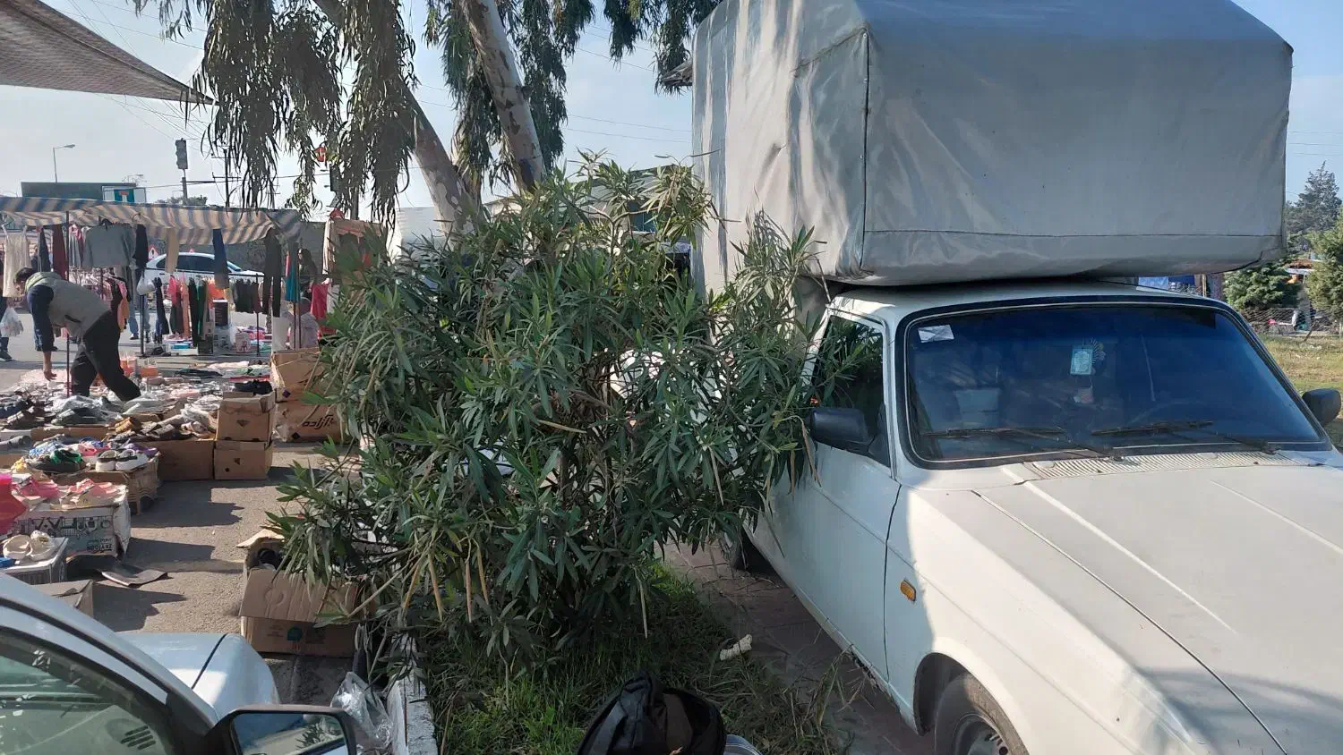 فروش فوری پیکان وانت|خودرو سواری و وانت|بندر ترکمن, |دیوار