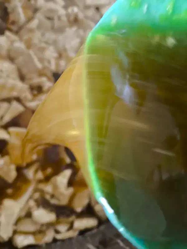 شیره نبات|عمدهفروشی|خرم بید, |دیوار