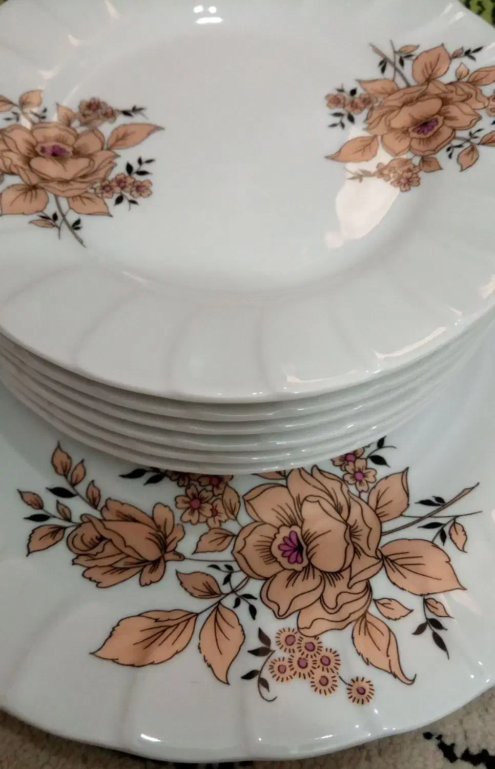 حراج فریزر فیلور سرویس چینی 9و7پارچه وتلفن نو|حراج|برخوار, |دیوار