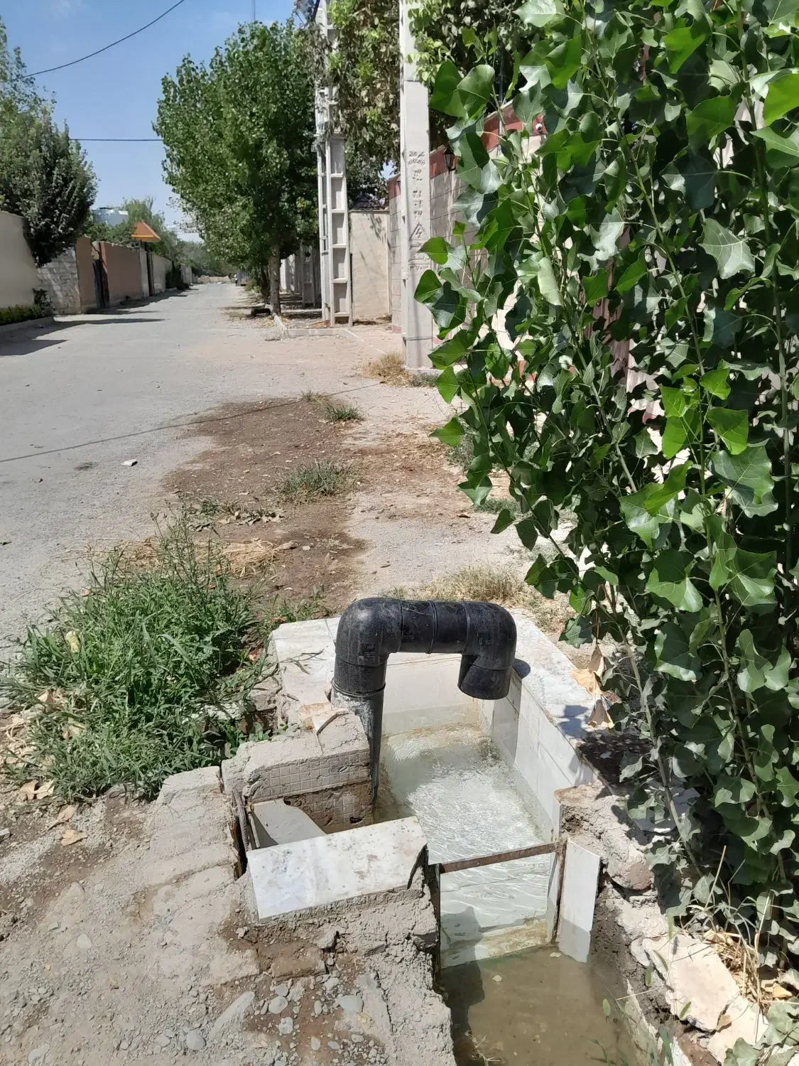 باغ و باغچه دونبش ۵۸۰ متری|فروش زمین و ملک کلنگی|ماهدشت, |دیوار