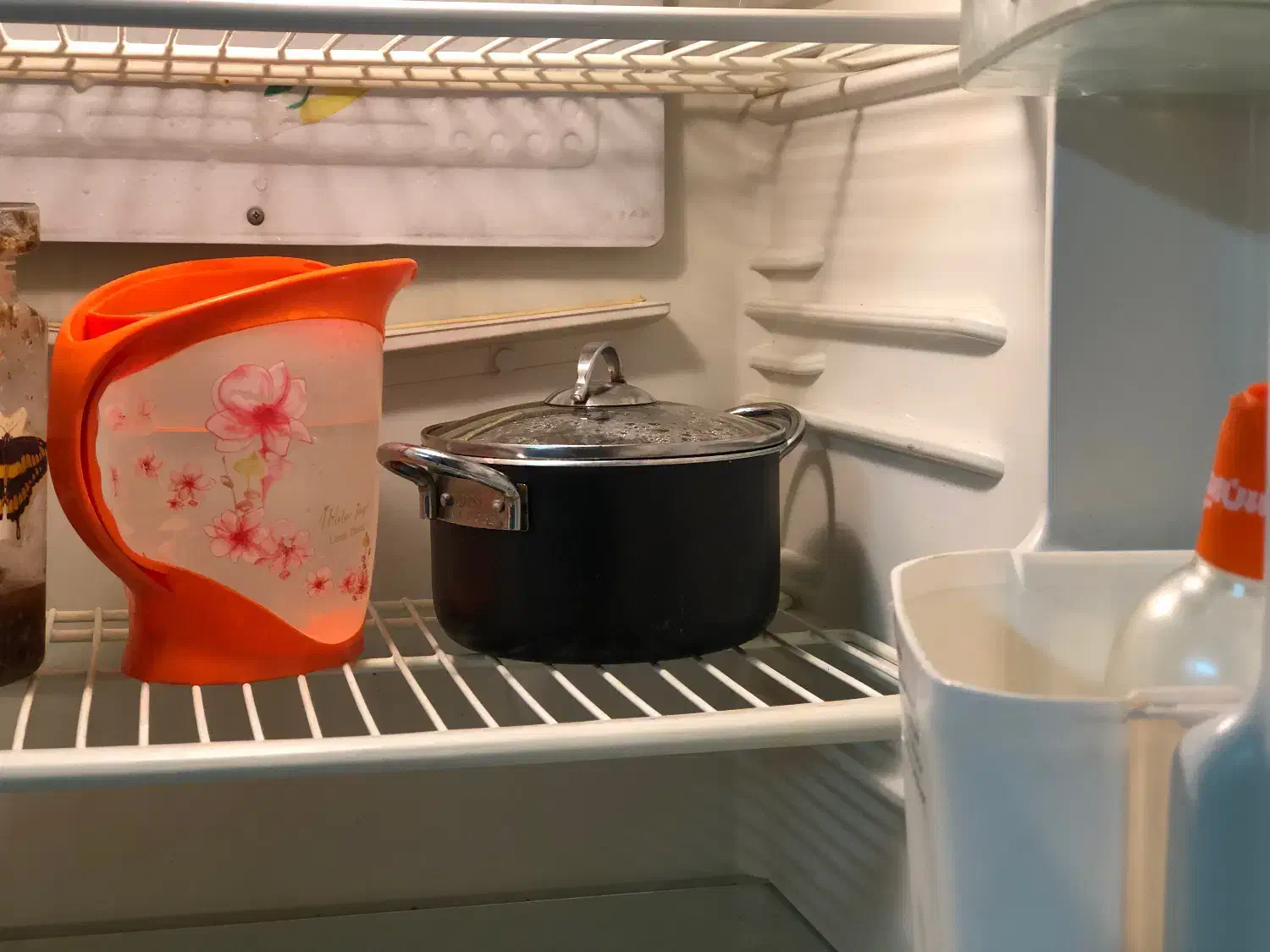 یخچال فریزر|یخچال و فریزر|چالوس, |دیوار