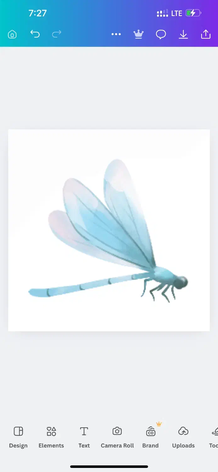 جذب مربی و کمک مربی در مهد کودک|استخدام آموزشی|رشت, فلسطین|دیوار