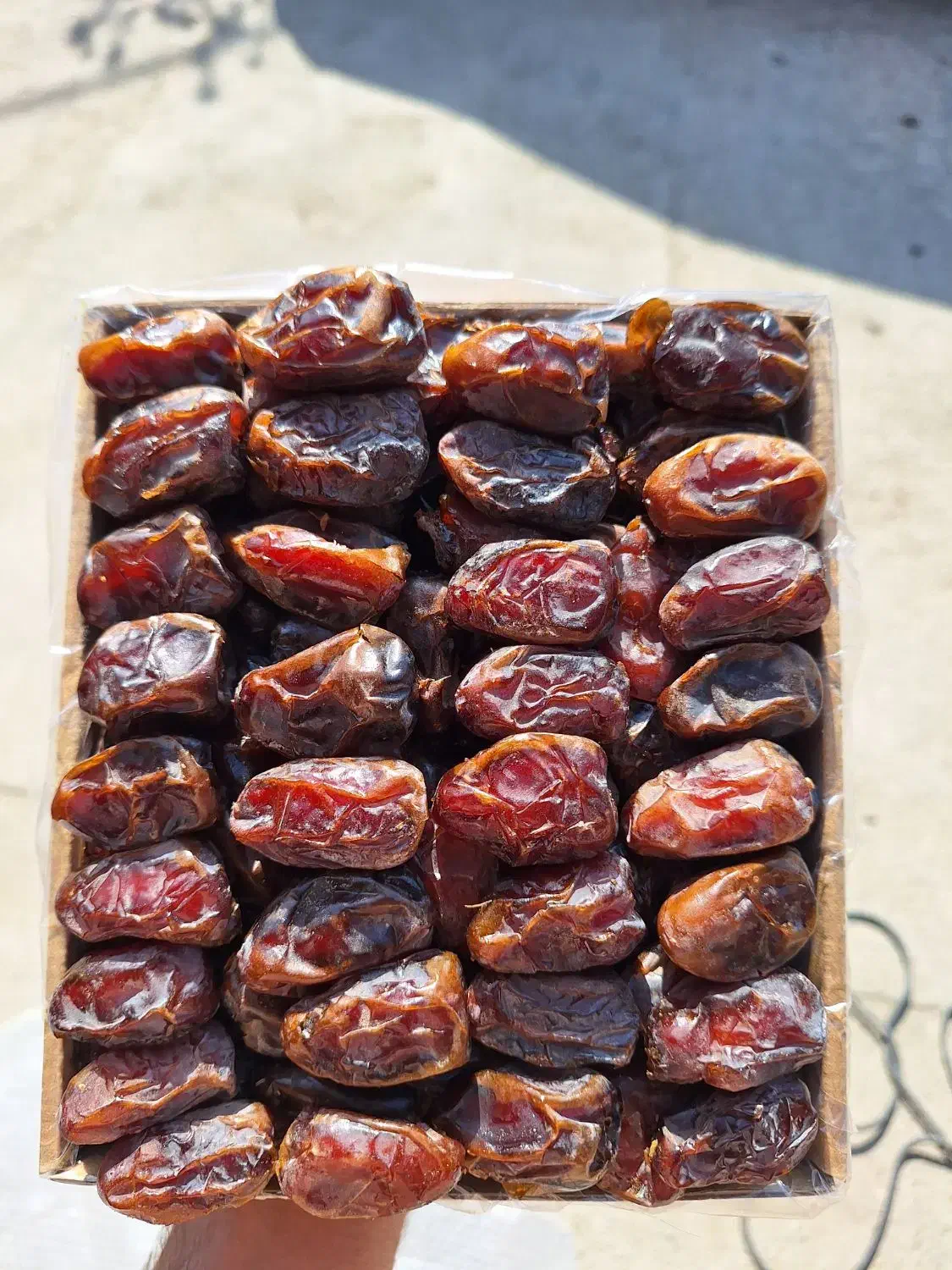 خرما|خوردنی و آشامیدنی|وحدتیه, |دیوار