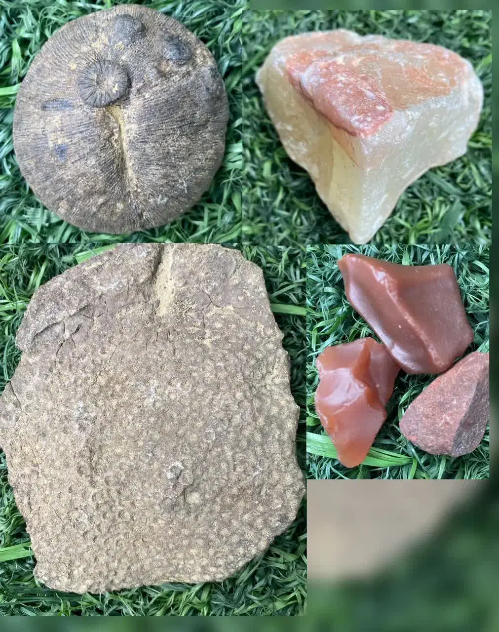 سنگ های زیبا|کلکسیون اشیاء عتیقه|آفتاب, |دیوار