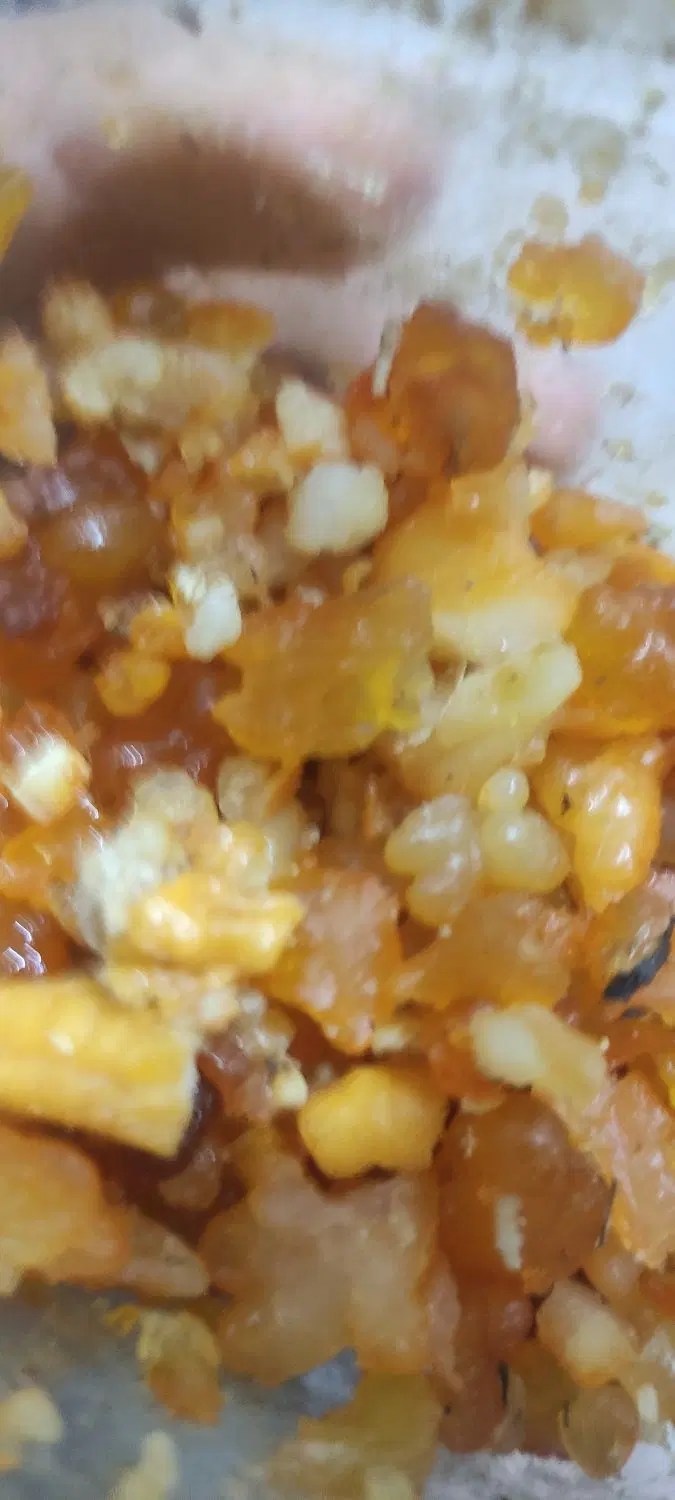 قاسنی|خوردنی و آشامیدنی|ساوه, |دیوار