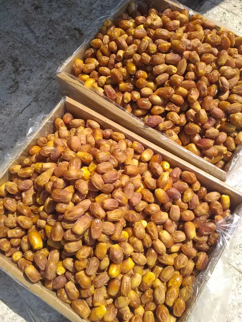 فروش خرماهای جنوب کرمان وضایعات خرما|عمده‌فروشی|کوهسار (آذربایجان), |دیوار